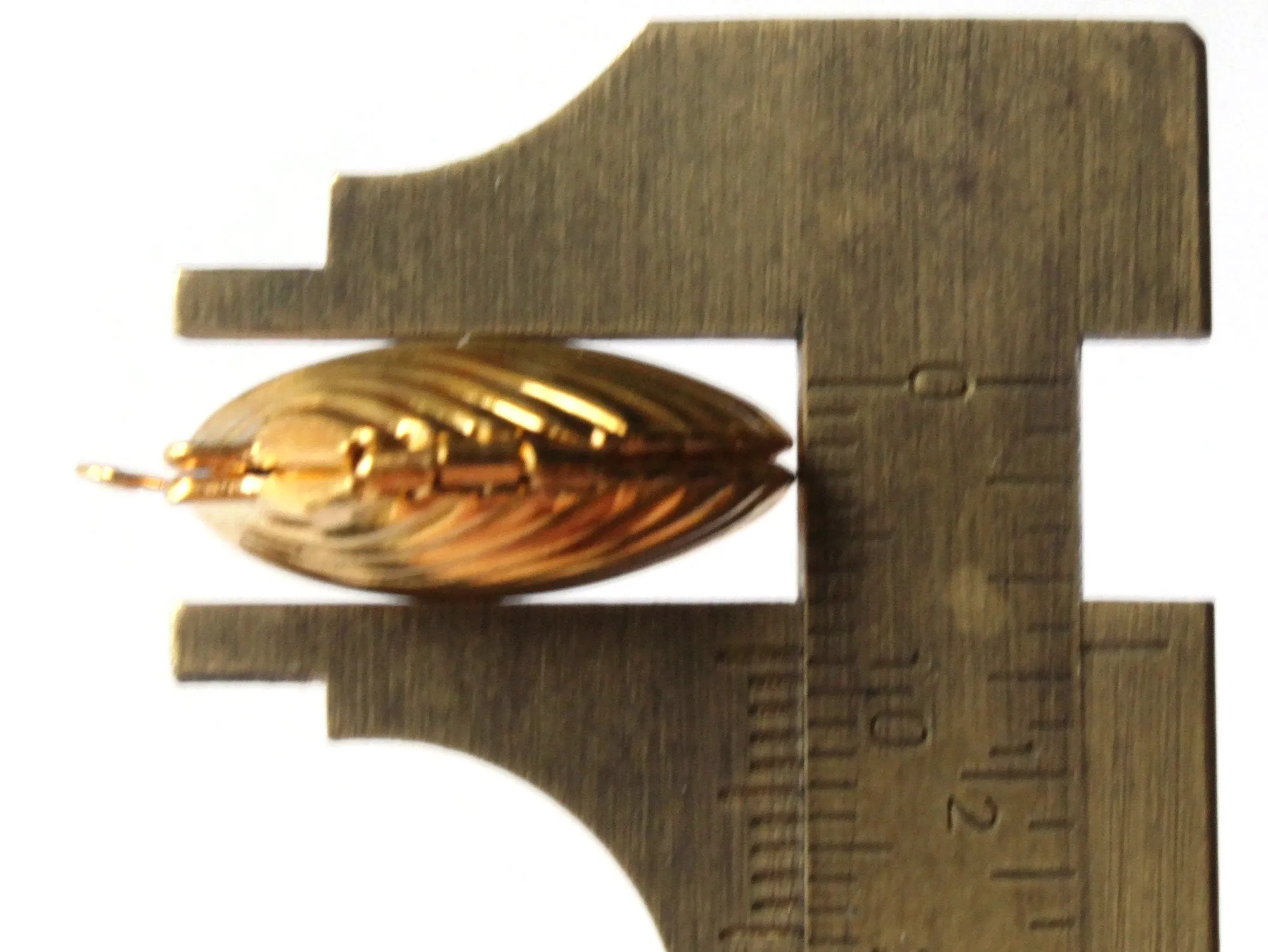 24mm Shell Shaped Locket Gold Tone Locket Charm Jewelry Making and Beading Supplies