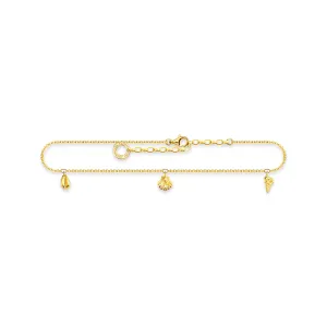 Anklet shells gold