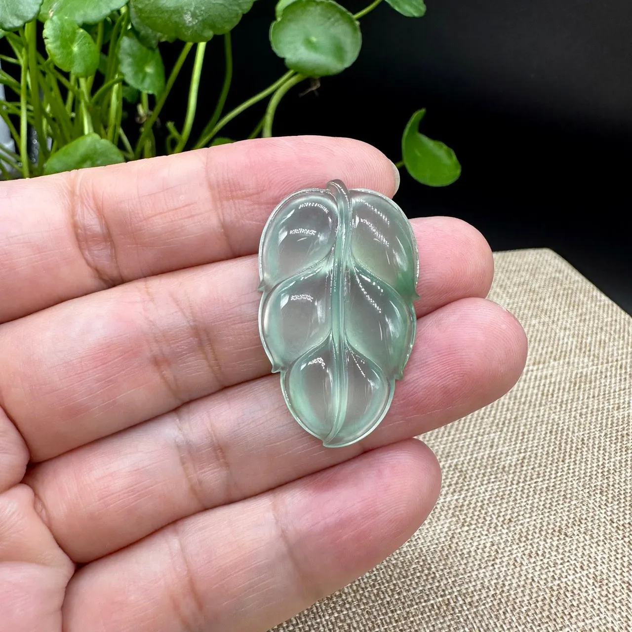High end RealJade® Co. Genuine Ice Jadeite Jade Jin Zhi Yu Ye (Leaf) Necklace