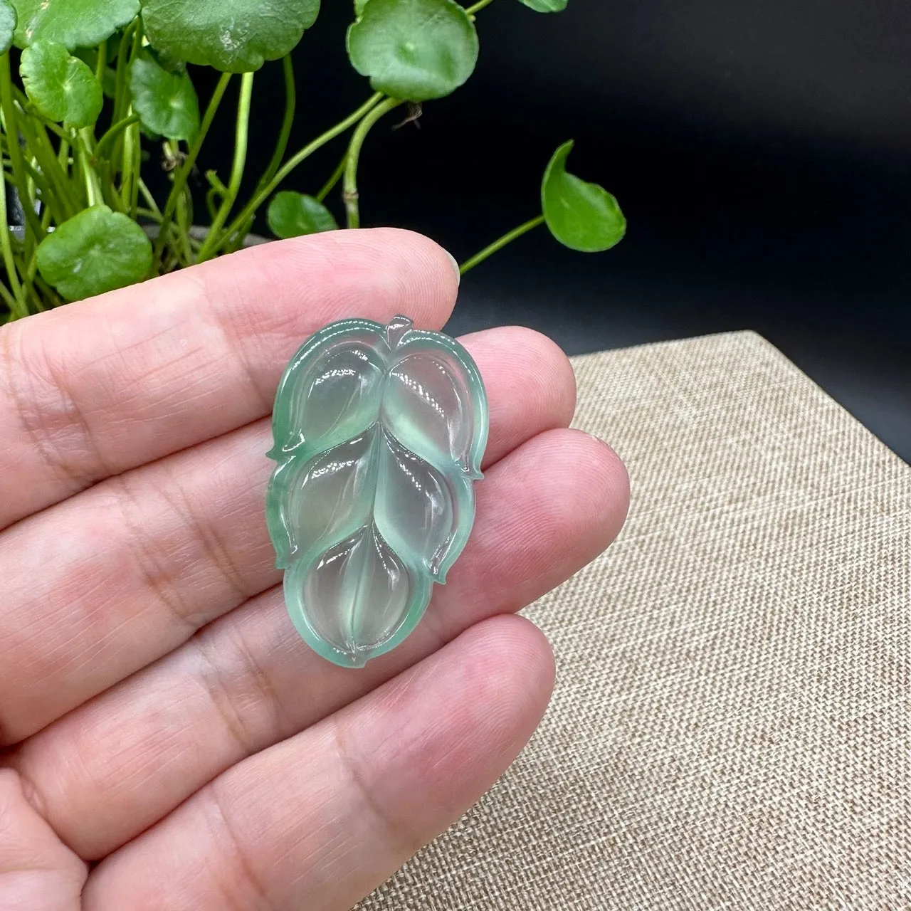 High end RealJade® Co. Genuine Ice Jadeite Jade Jin Zhi Yu Ye (Leaf) Necklace