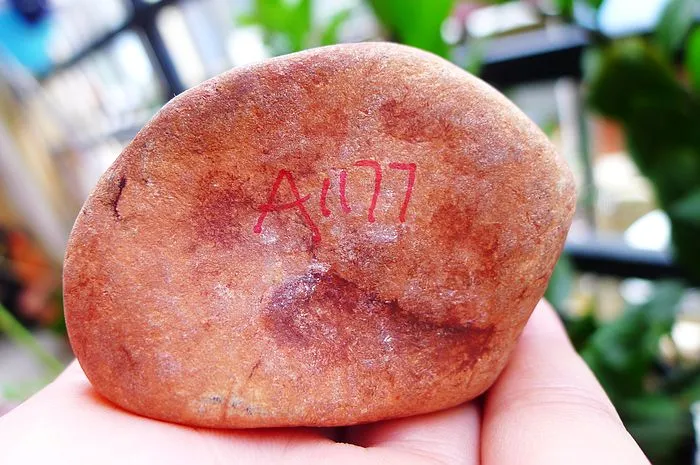 Natural Jade Rough Jadeite Raw (167g,6X4.7X4cm)