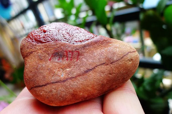 Natural Jade Rough Jadeite Raw (167g,6X4.7X4cm)