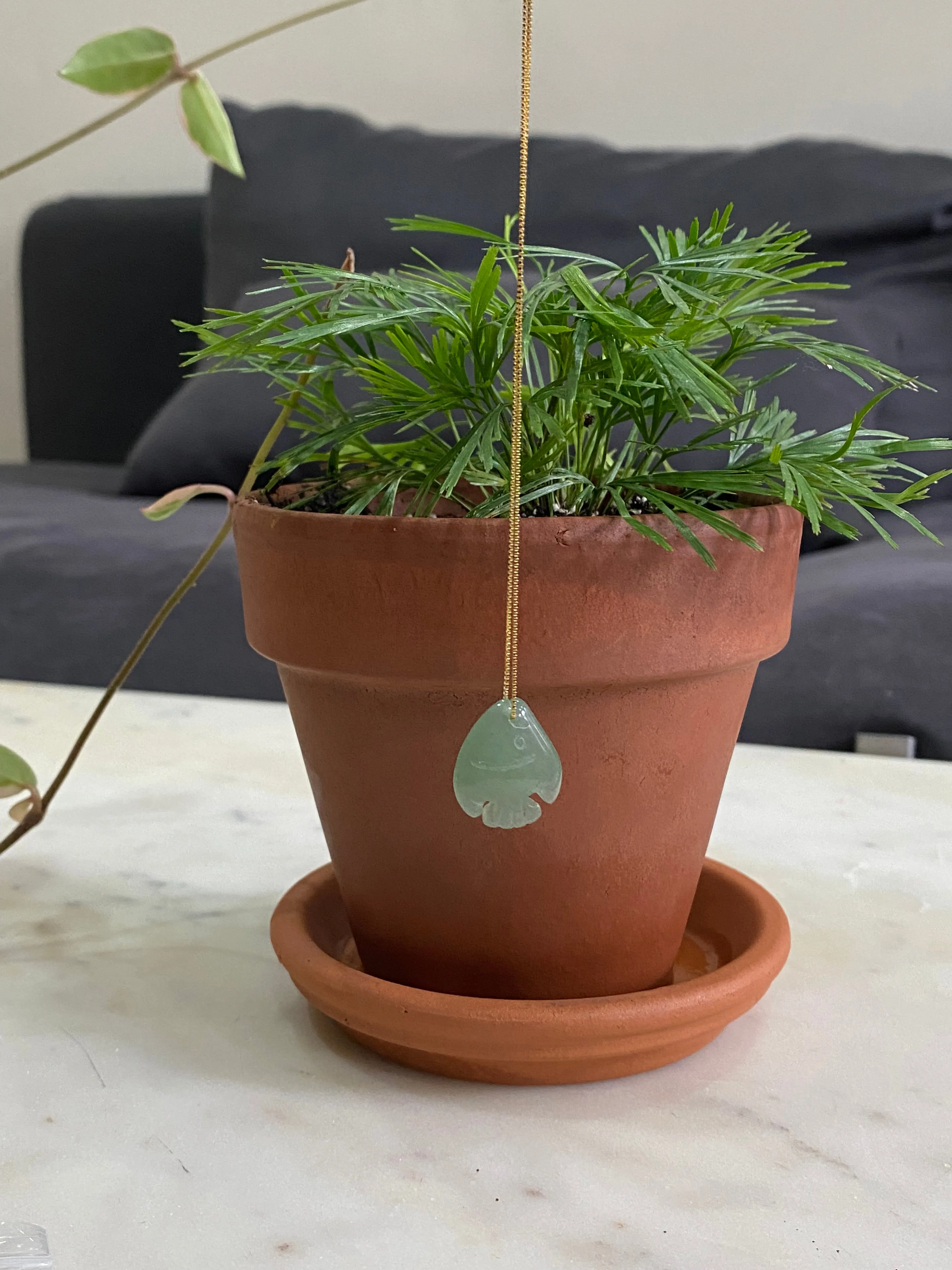 Zodiac collection | Pisces — Jade stone necklace